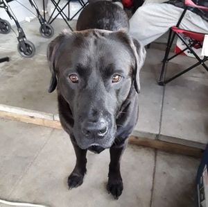 Meet your Posher, Brett